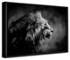 The Male' Framed Print Wall Art by Xavier A