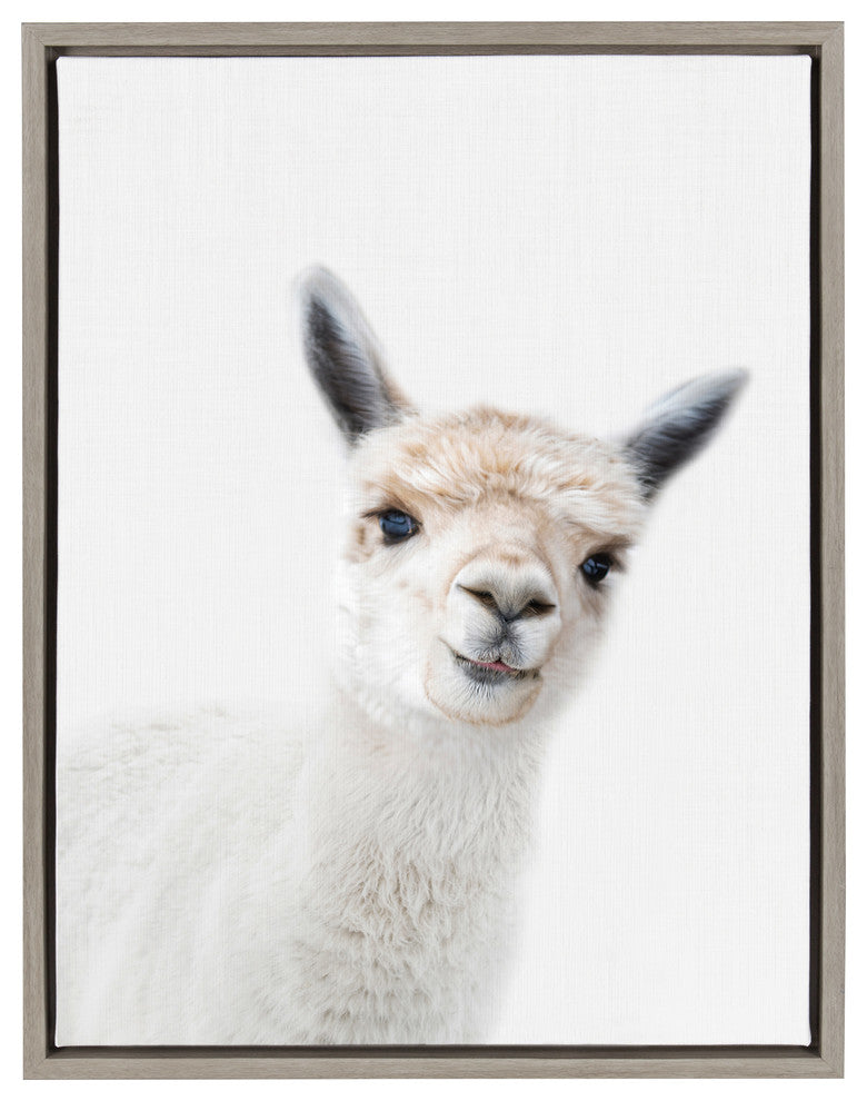 Sylvie Studio Alpaca Animal Print Framed Canvas Art by Amy Peterson, 18x24