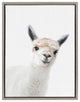 Sylvie Studio Alpaca Animal Print Framed Canvas Art by Amy Peterson, 18x24