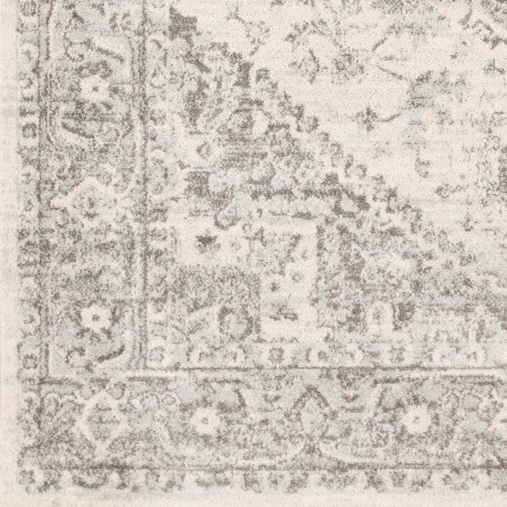 Surya Chester CHE-2312 Traditional Area Rug, 9' x 12' Rectangle