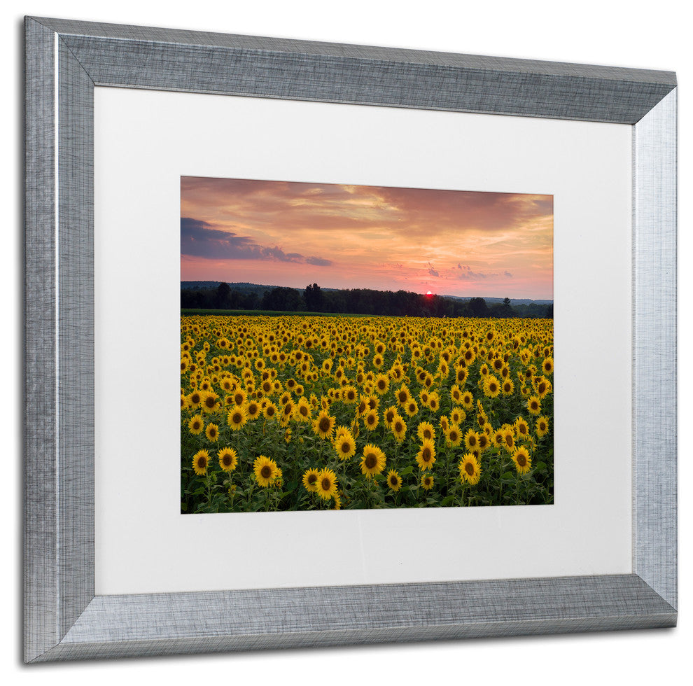 Blanchette Photography 'Sunflower Taps', Silver Frame, White Matte, 20"x16"
