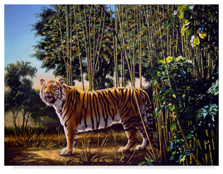 "Hidden Tiger     " by D. Rusty Rust, Canvas Art