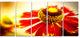 Beautiful Flower on Yellow Background, Flower Art on Canvas, 60"x28", 5 Panels