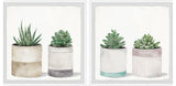 Fleshy Succulent Leaves Diptych, 2-Piece Set, 18x18 Panels