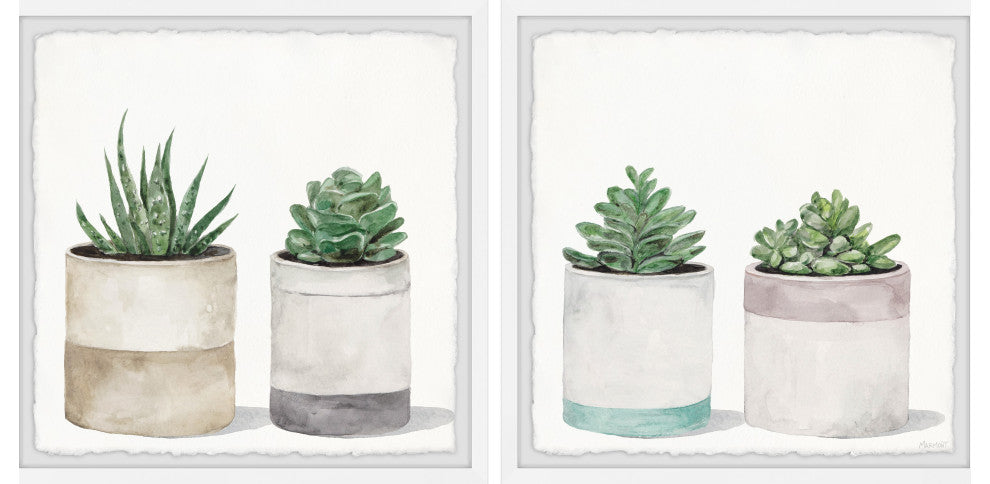 Fleshy Succulent Leaves Diptych, 2-Piece Set, 18x18 Panels