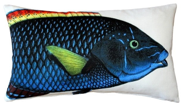 Pillow Decor - Blue Wrasse Fish Pillow 12 x 20