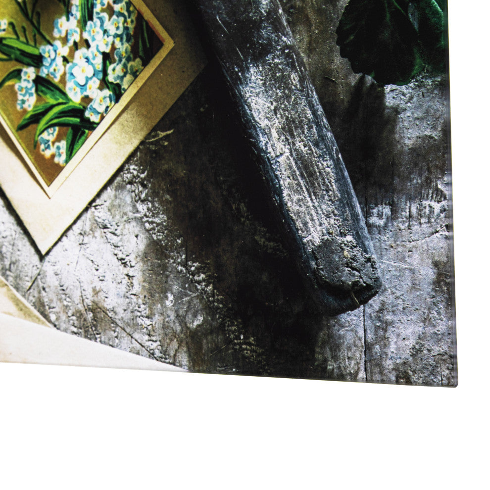 'Earthy Charm II', Photo by Veronica Olson, Printed on Tempered Glass