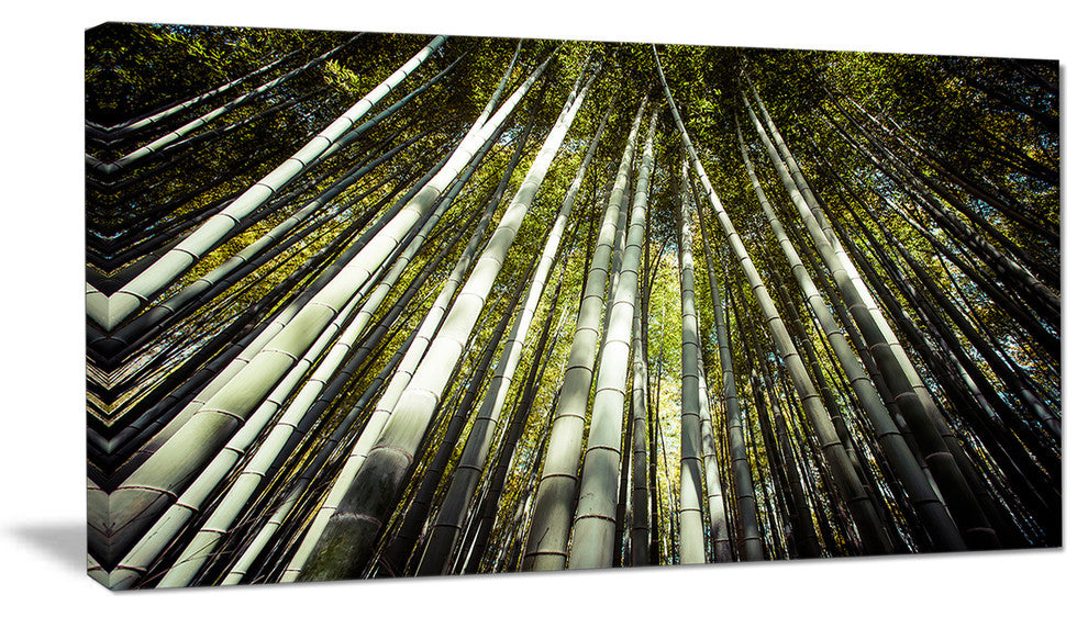 "Long Bamboos in Bamboo Forest" Forest Canvas Wall Art Print, 32"x16"