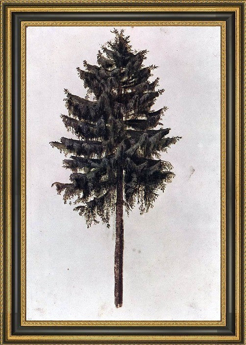 Albrecht Durer Pine Framed Premium Canvas Print, 16"x24"