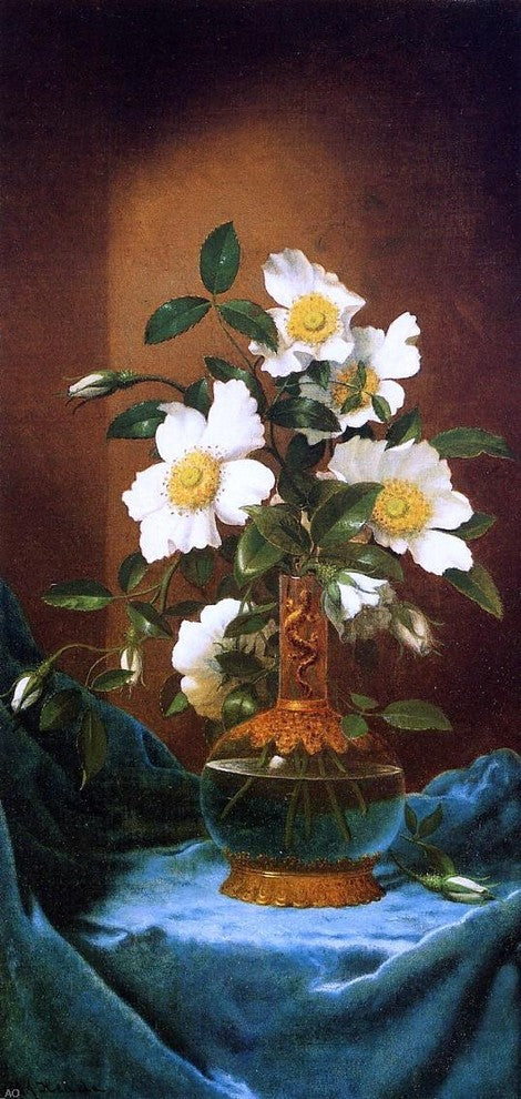 Martin Johnson Heade White Cherokee Roses in a Salamander Vase Wrapped Canvas
