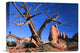 "Snag At  Fiery Furnace Labyrinth, Arches National Park, Utah" Artwork