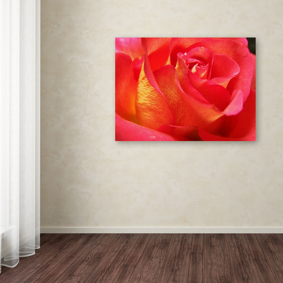 'Empowering Heart' Canvas Art by Monica Fleet