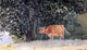 Winslow Homer Cow in Pasture, 18"x27" Wall Decal