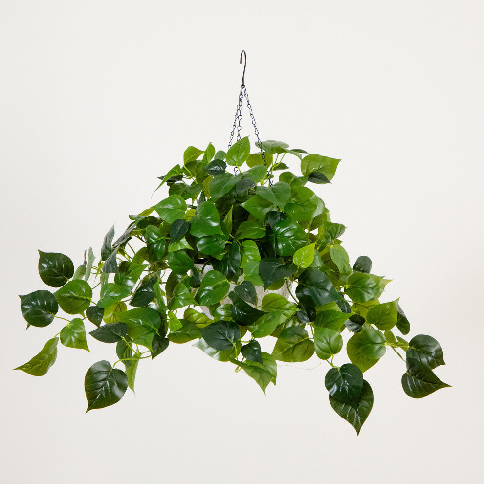 24in. Prelit UV Resistant Artificial Philodendron, White Hanging Basket