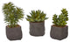 Mixed Succulent Trio Artificial Plant, 3-Piece Set