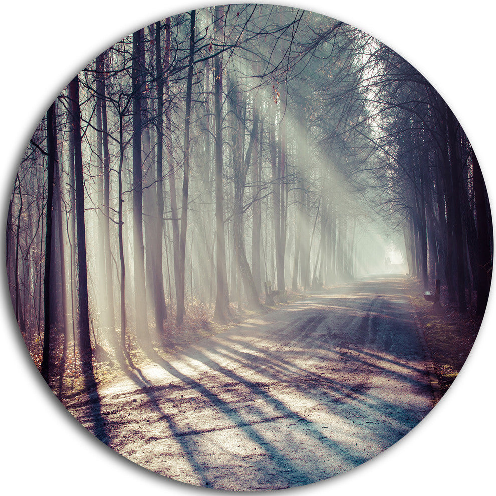 Morning Sunbeams To Forest Road, Landscape Disc Metal Wall Art, 36"