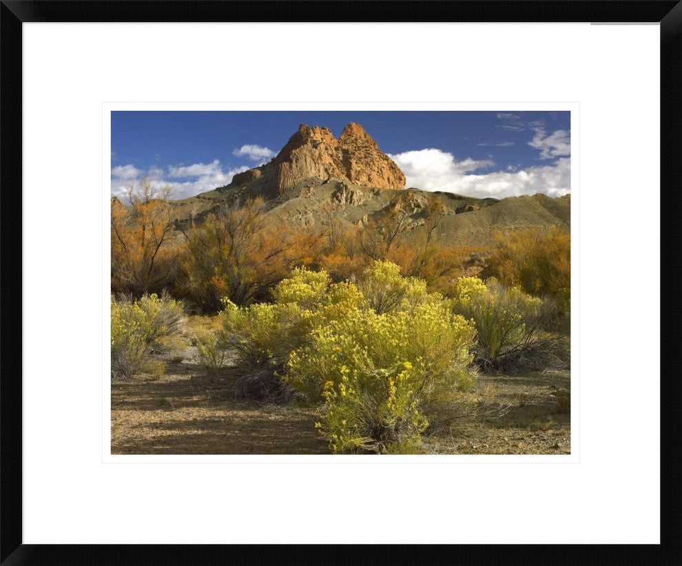 "Mitten Rock, New Mexico" Framed Digital Print by Tim Fitzharris, 24x20"