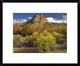 "Mitten Rock, New Mexico" Framed Digital Print by Tim Fitzharris, 24x20"