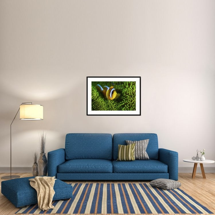 "Yellow Clownfish On Green Anemon"  by Barathieu Gabriel, 44x32"