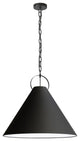 Black Contemporary Pendant With Matte Black Metal