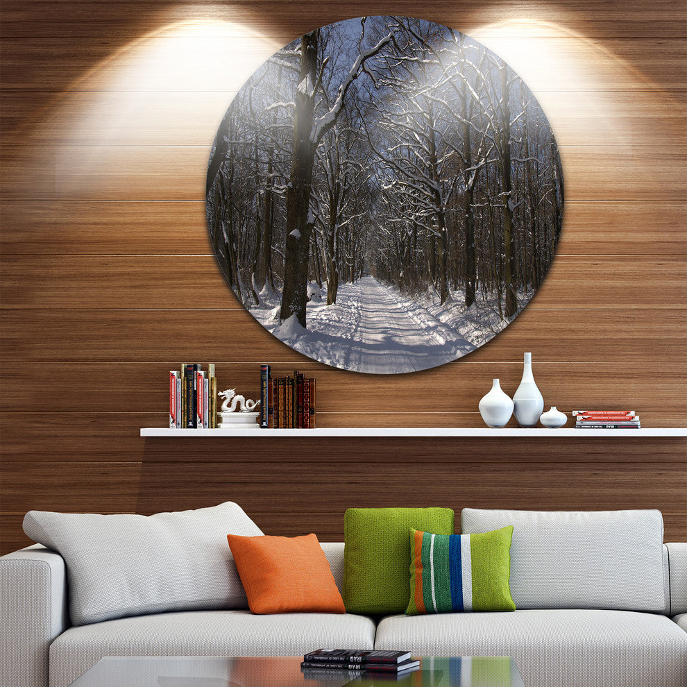 Path On Sunny Winter Day In Park, Forest Large Disc Metal Wall Art, 23"