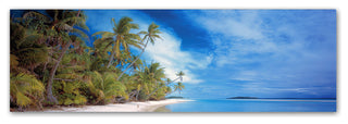 Doug Cavanah 'Palm Landscape' Canvas Art, 16x47