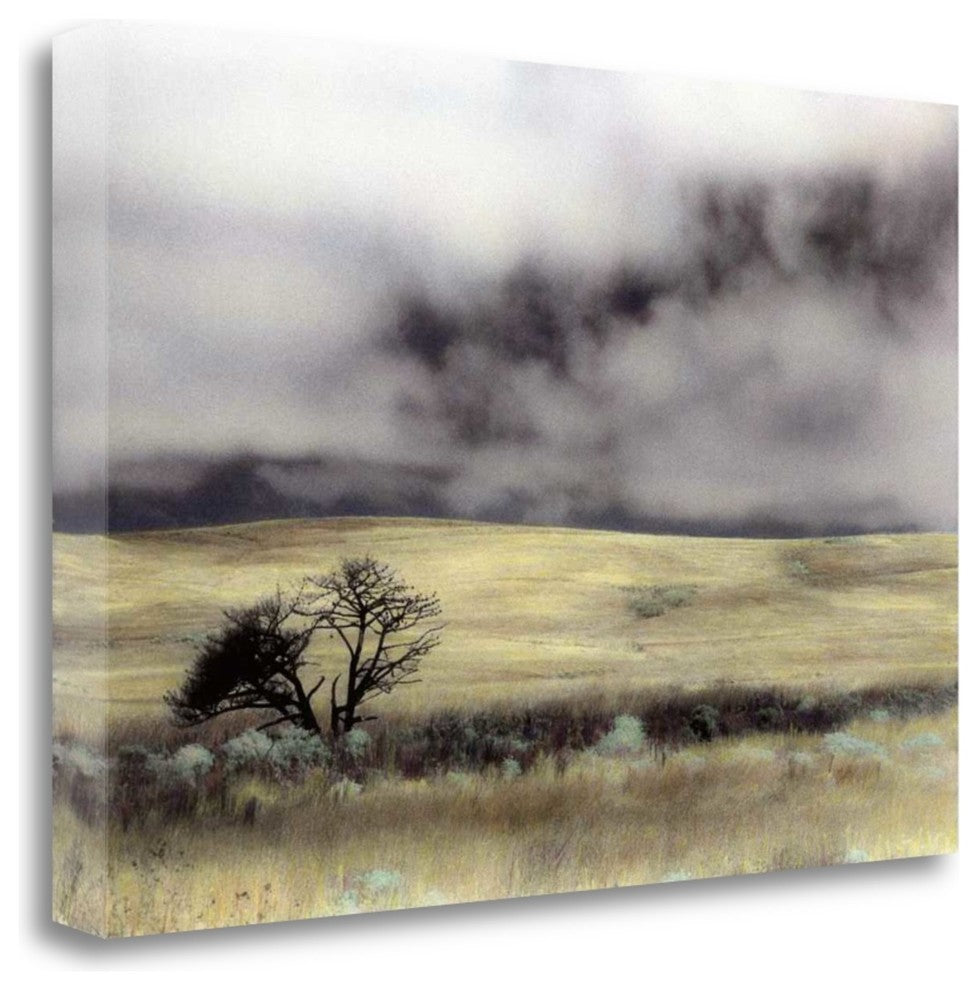 "Limantour Marsh" By Laura Culver, Giclee Print on Gallery Wrap Canvas