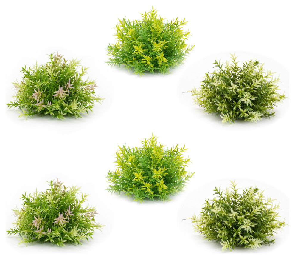 Half Orb, 6-Piece Set