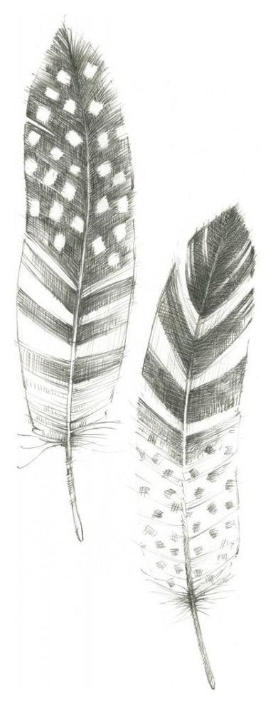 "Feather Sketches VIII" Digital Paper Print by Avery Tillmon, 14"x32"
