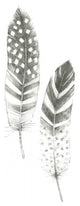 "Feather Sketches VIII" Digital Paper Print by Avery Tillmon, 14"x32"
