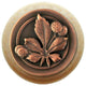 Horse Chestnut Wood Knob, Antique Copper