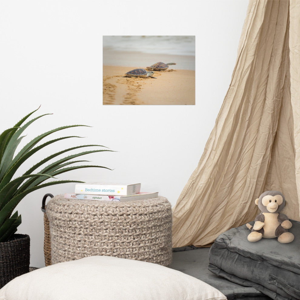Baby Hawksbill Sea Turtle On The Beach Animal Wildlife Loose Wall Art Print, 12" X 16"