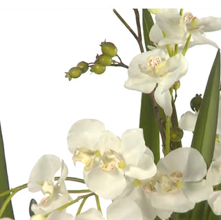 Large White Orchid Faux Floral
