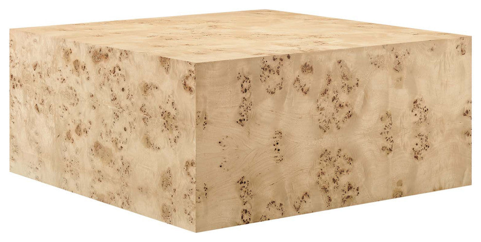 MODWAY Cosmos 36" Square Burl Wood Coffee Table