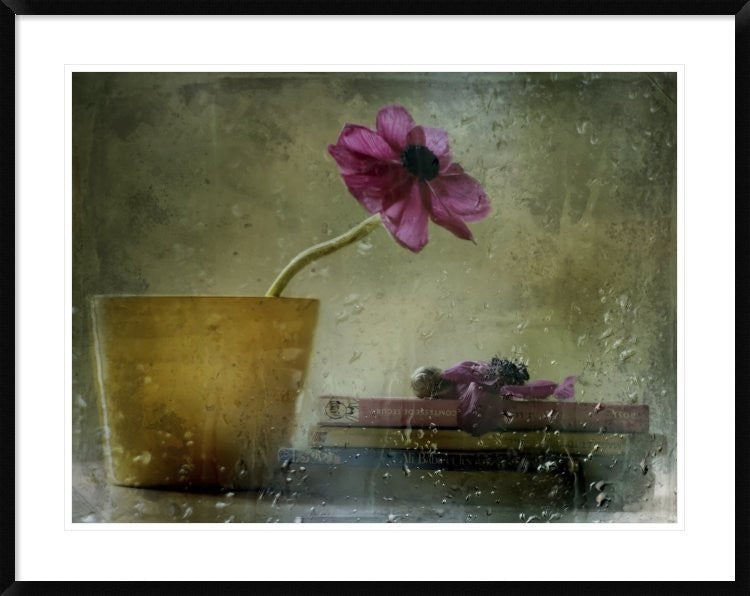 "A Day To Stay At Home" Framed Digital Print by Delphine Devos, 40x32"