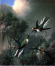 Martin Johnson Heade Two Hummingbirds Wall Decal