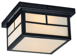 Maxim 4059 Coldwater 2 Light 9-1/4"W Outdoor Flush Mount Square - Black