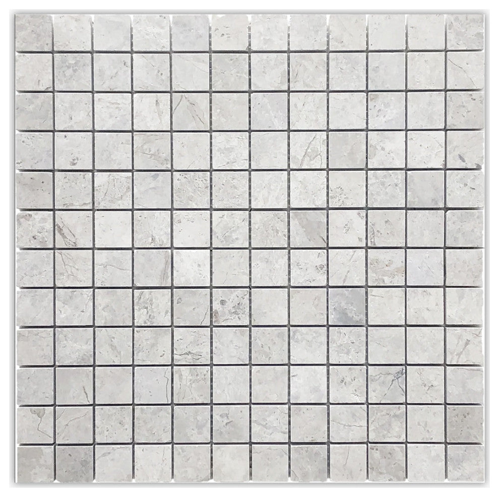 Silver Gray Dark Honed 1x1 Marble Mosaic
