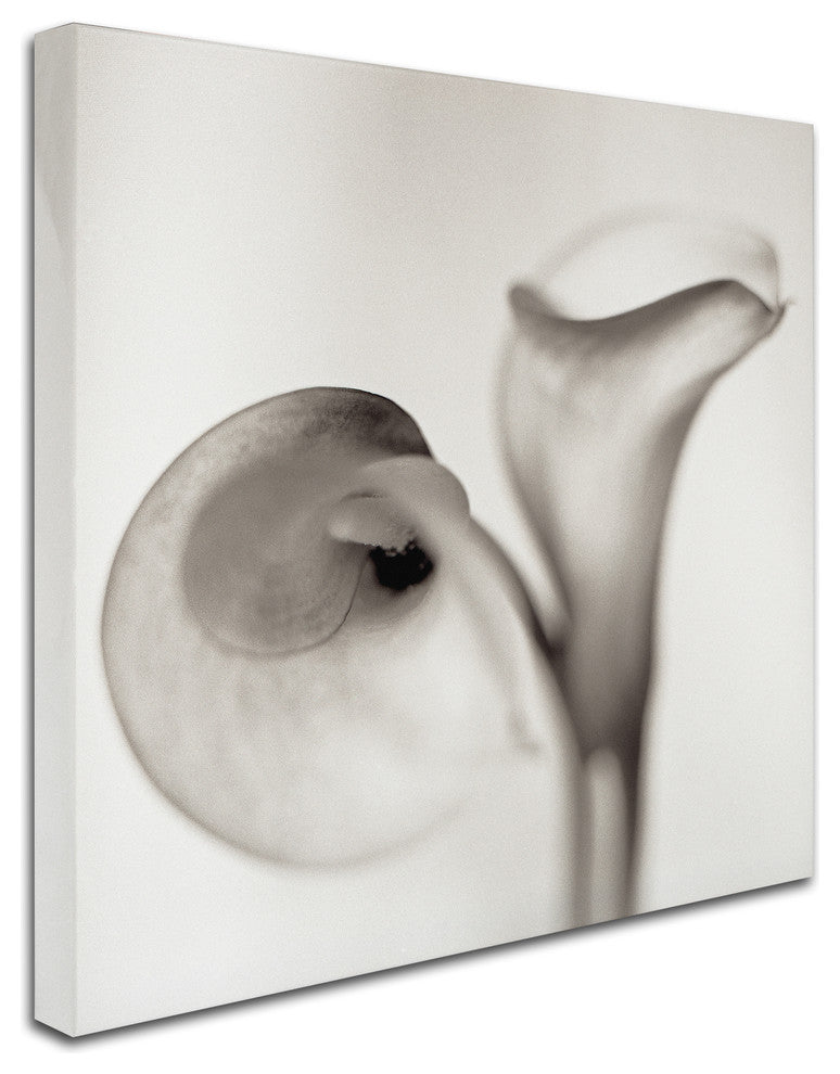Alan Blaustein ''Florison 35'' Canvas Art, 35x35