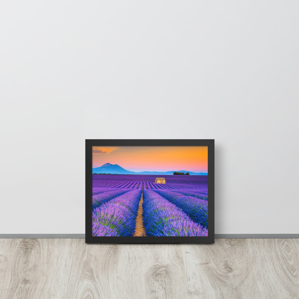 Blooming Lavender Field and Sunset Floral Landscape Framed Photo Wall Art Prints, Black, 11" X 14"