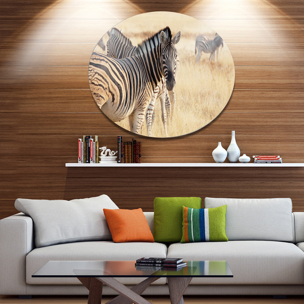 Zebra In Etosha Wandering In Grass, African Disc Metal Wall Art, 23"
