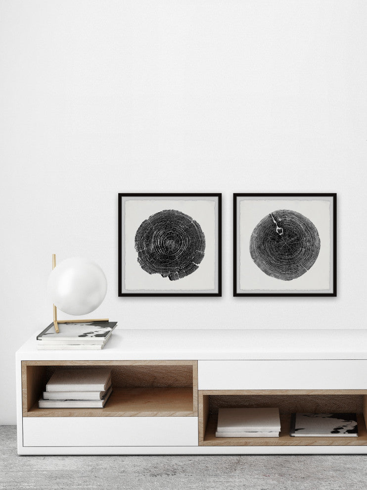 Charred Diptych, Set of 2, 24x24 Panels