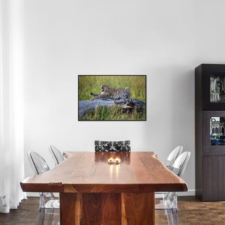 "Big Cat" Framed Canvas Giclee by Alessandro Catta, 37x25"