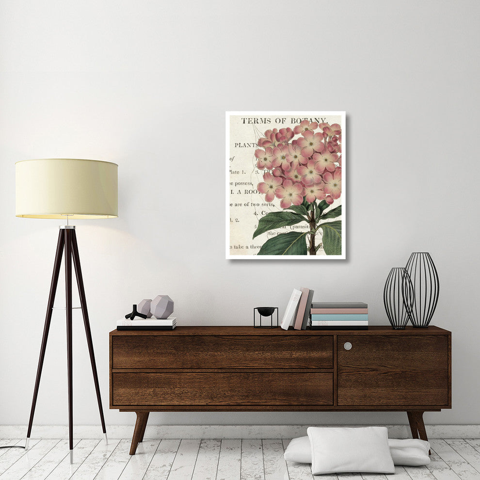 "Bicolor Phlox Botany" Digital Paper Print by Sue Schlabach, 30"x37"