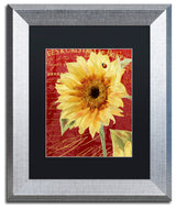 Color Bakery 'Ete Lady Bug' Matted Framed Art, Silver Frame, Black Mat, 11x14