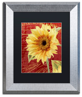 Color Bakery 'Ete Lady Bug' Matted Framed Art, Silver Frame, Black Mat, 11x14