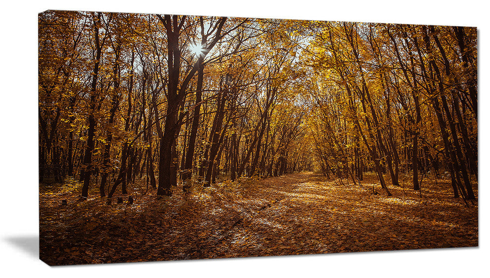 Sunset in Yellow Autumn Forest, Modern Forest Canvas Art, 32"x16"