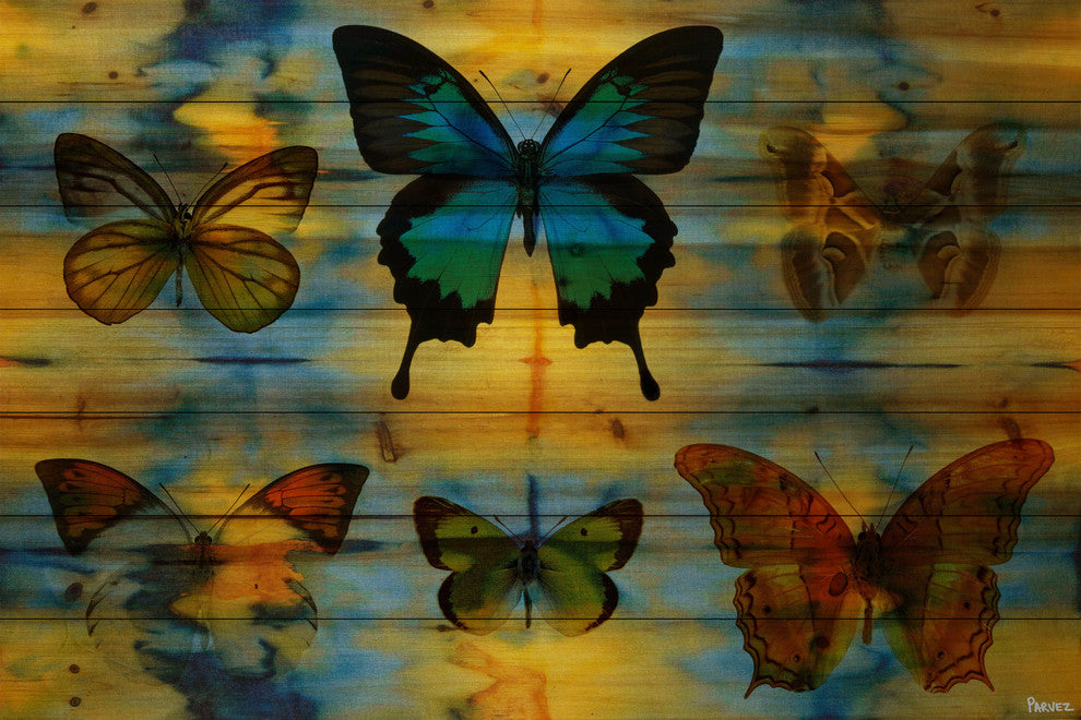 "Lepidoptera" UV Ink Print on Natural Pine Wood, 45"x30"