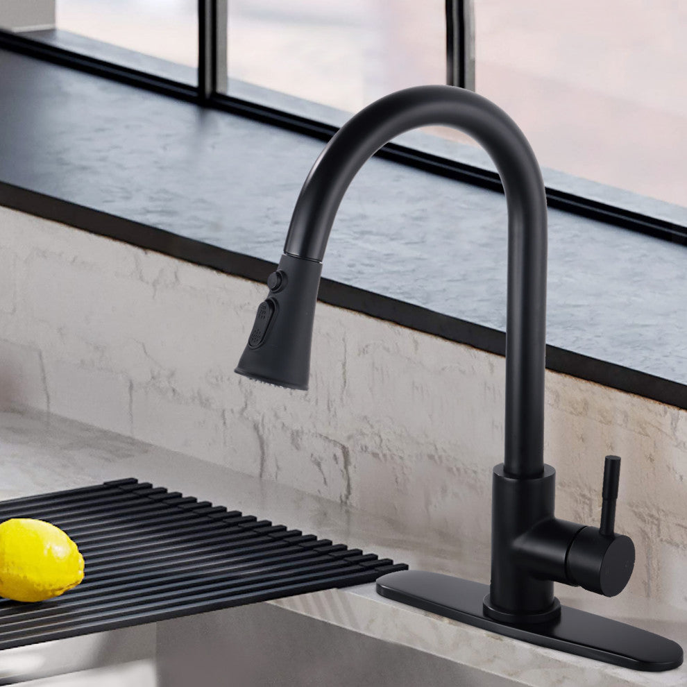 Single Handle Deck Mounted High Arc Pull Down Kitchen Faucet with Sprayer, Matte