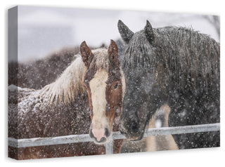 Snowy Horses 24x16 Canvas Wall Art